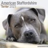 American Staff. Terrier kalenteri 2023