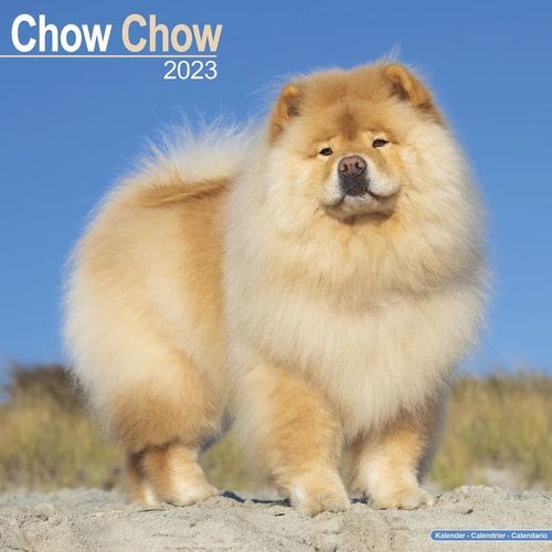 Chow Chow kalenteri 2023
