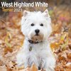 West Highland White Terrier kalenteri 2023