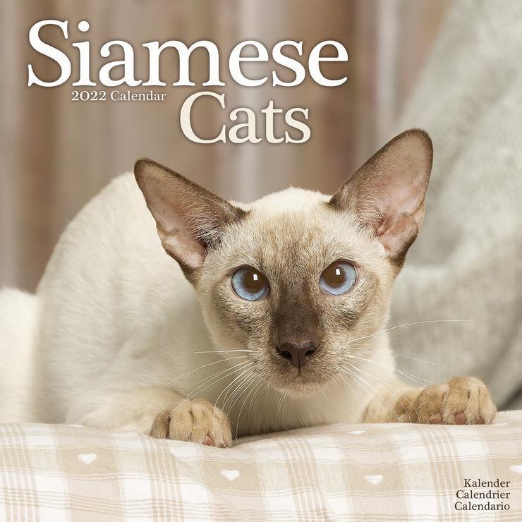 Siamese Cats kalenteri 2022