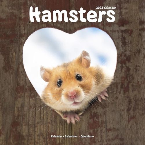 Hamsters kalenteri 2023