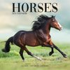Horses kalenteri 2022