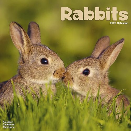 Rabbits kalenteri 2023