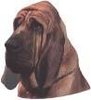 Bloodhound tarra