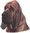 Bloodhound tarra