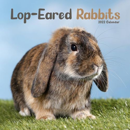 Lop-Eared rabbits kalenteri 2022