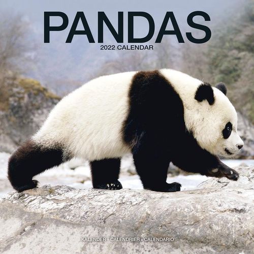 Pandas kalenteri 2022